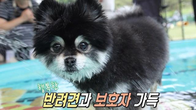 생방송 투데이