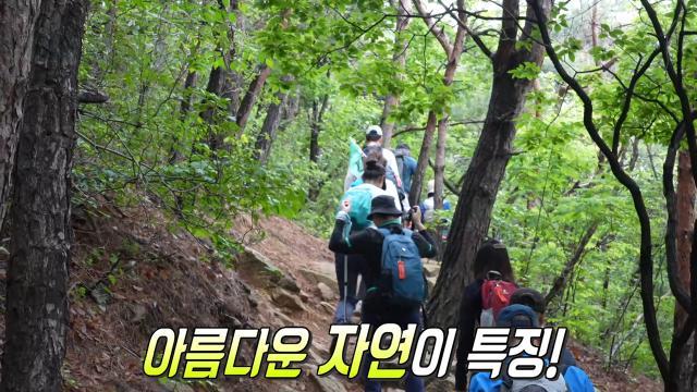 생방송 투데이