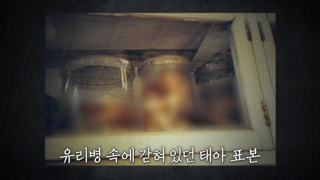 낙인 - 아이를 가질 수 없는 섬 