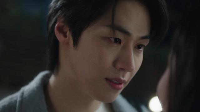 사계의 봄