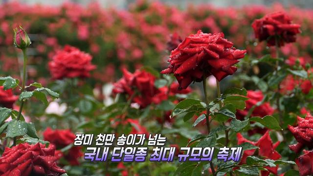 생방송 투데이