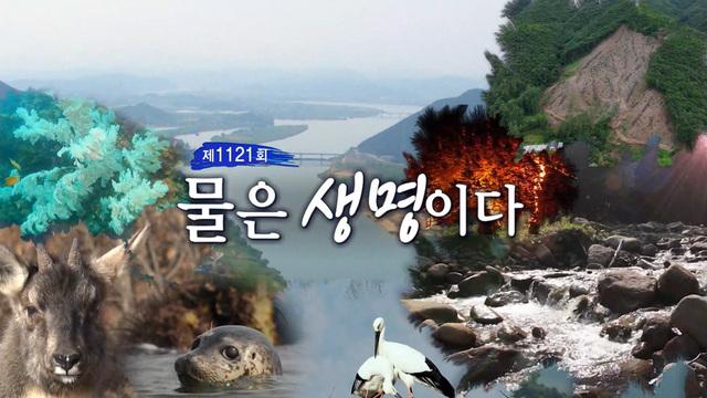물은 생명이다